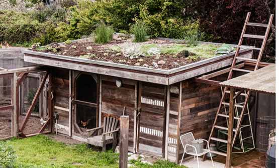 chicken coop
