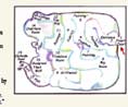Layout of Pipe Dreams