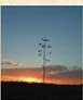 Arizona sunrise.