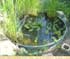 Fish pond from galvanized metal stock tank, effortless and beautiful