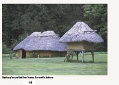 Replica of mound builders homes, Evansville, Indiana